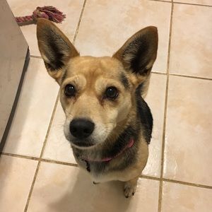 Meet your Posher, Adrienne